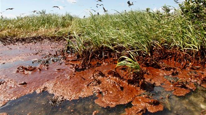 Oil in The Marshes